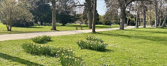 Stadt Plattform | 27. März 2026