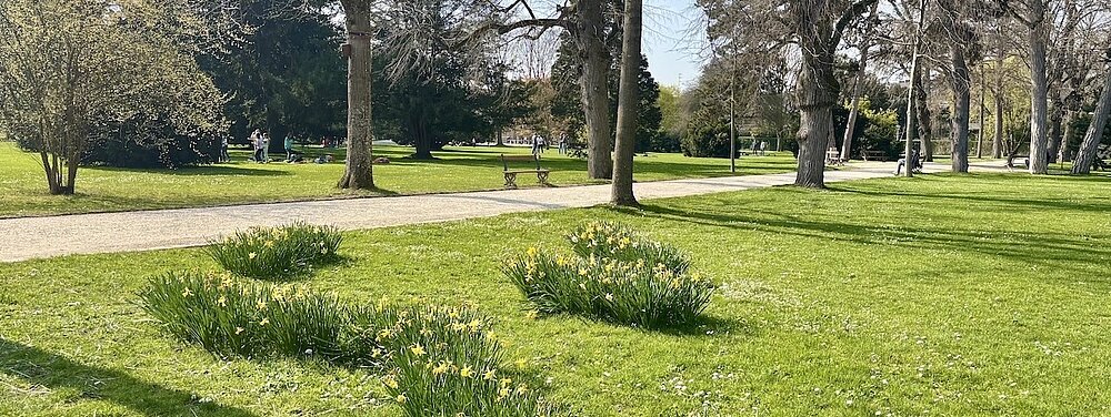 Stadt Plattform | 27. März 2026